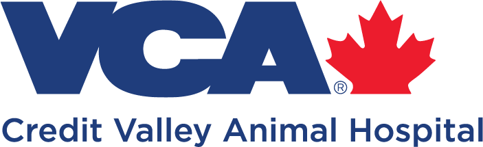 CREDIT VALLEY ANIMAL HOSPITAL